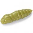 Pupa 1.5